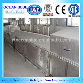 Fruit Flow Tunnel Quick Freezer China supplier
