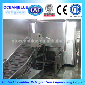 Mushroom Vegetable Flow Freezer Inustrial IQF Food Freezer