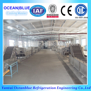 Mushroom Vegetable Flow Freezer Inustrial IQF Food Freezer