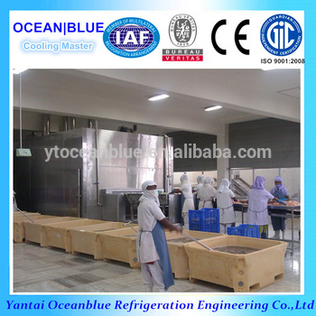 Quick Frozen Tunnel Freezer for Prawn