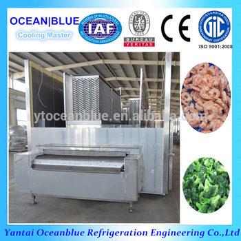 Frozen Food Flow Tunnel Freezer Type Quick Freezing Industrial Machine