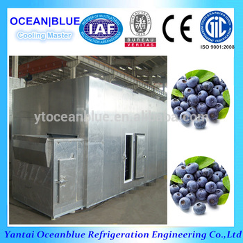 Frozen Fruit Blueberry Machine Type Quick Freezing Equipment