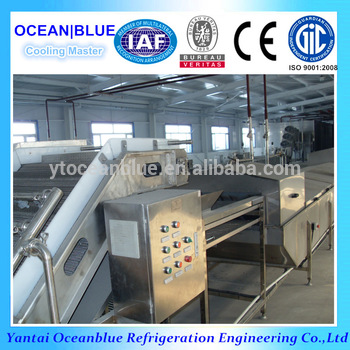 2016 new design OEM frozen vegetable production line