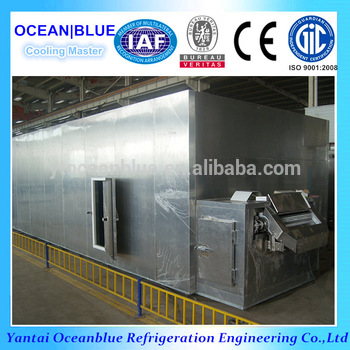 stainless steel 304 belt quick freezing type iqf tunnel freezer