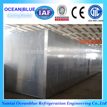 stainless steel 304 belt quick freezing type iqf tunnel freezer
