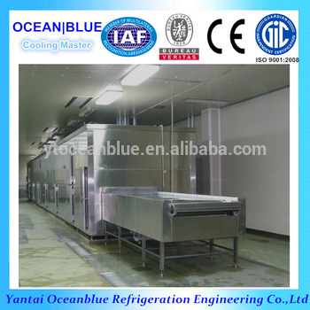 stainless steel 304 belt quick freezing type iqf tunnel freezer