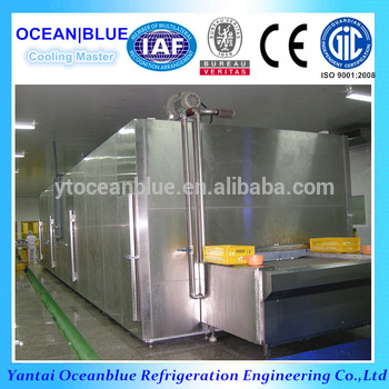 Blast Quick Freezing Shrimp Freezer Industrial Food Freezer