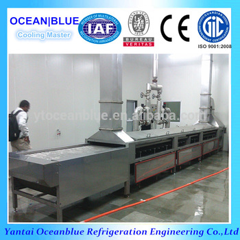 China high quality frozen shrimp production line