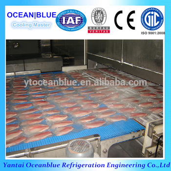 High Quality Tunnel Type Fish Fillet Freezing Air Blast Freezer