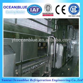 IQF Fluidized blast freezer for fruit and vegetable