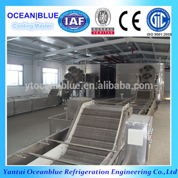 Quick Frozen Vegetable Freezer Quick Freezer Machine