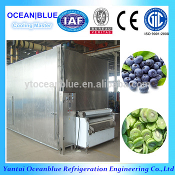 Frozen Fruit Blueberry Machine Type Fruit Freezer