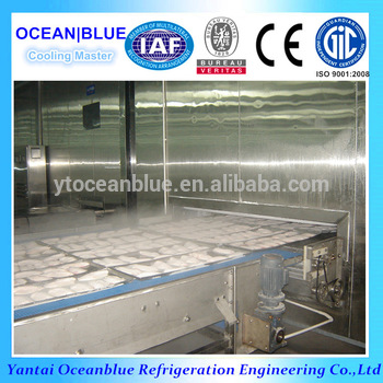 Quick Freezing Machine for Fish and Meat Ball iqf Tunnels