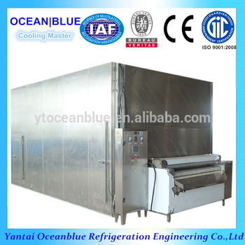 Overseas service engineer available low deep temperature iqf freezer cold room