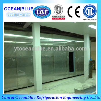 output capacity 1000kg h IQF tunnel blast freezing machine