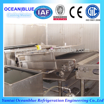 Blast Freezer for Vegetable and Fruits iqf Tunnel Fluidized Freezer