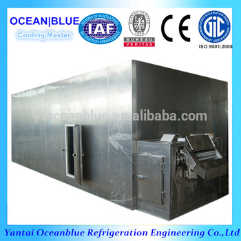 Tunnel Quick Freezer IQF
