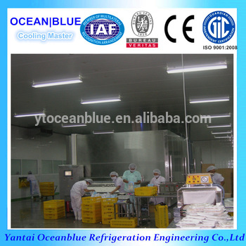 Tunnel Quick Freezer IQF