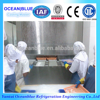 1000kg h shrimp IQF quick freezer