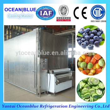 Industrial IQF Freezing Fruit and Vegetable Air Blast Freezer