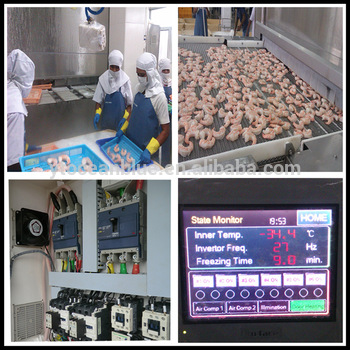 Hot Sell New Blast Freezer Machine