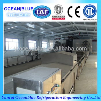 Made In China Quick Freezing Fruit Equipment