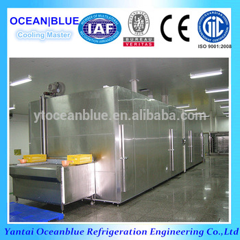 new condition 1000kg h frozen dumpling net belt iqf tunnel quick freezer