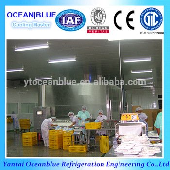 new condition 1000kg h frozen dumpling net belt iqf tunnel quick freezer