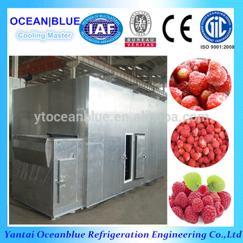 High Quality Stainless Steel Quick Freezing Strawberry Machine
