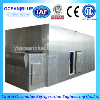 Tunnel Type Vegetable Freezer IQF Blast Freezing Food Machine