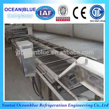 industrial vegetables quick freezing iqf tunnel blast freezer equipment