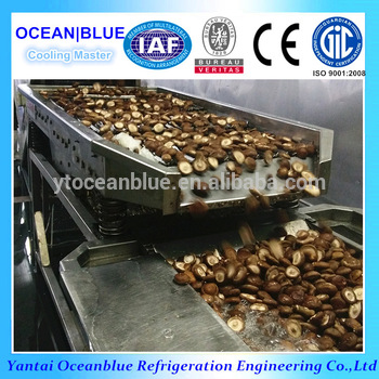 Shiitake quick frozen fluidized bed type IQF machine