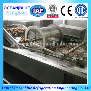 high quality iqf quick freezer with mushroom production line