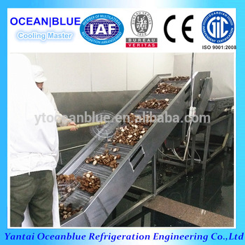 2000Kg H IQF Tunnel Freezer For Vegetables With Great Price