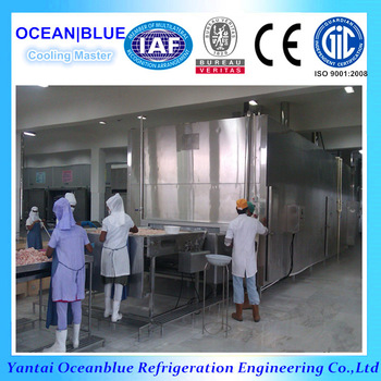 Hot sale industrial iqf tunnel freezer for shrimp and seafood