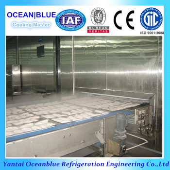 High quality frozen fish iqf freezer with 2000kg h capacity
