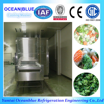 IQF Fluidized Bed Tunnel Freezer for fruit and vegetable
