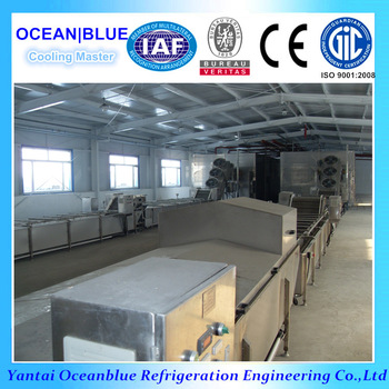 fluidized type iqf machine for fruit and vegetable quick freezing