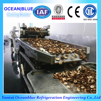 fluidized type iqf machine for fruit and vegetable quick freezing