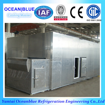 IQF Vegetable And Fruit Fluidized Quick Freezing Machine