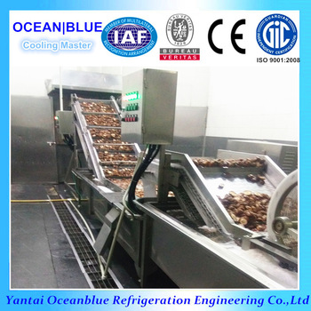 IQF Vegetable And Fruit Fluidized Quick Freezing Machine