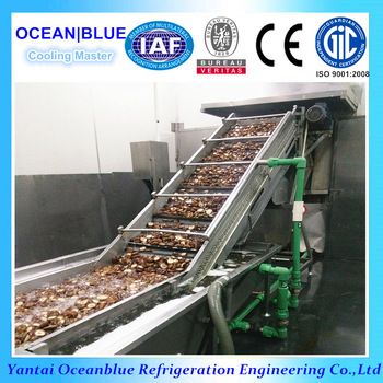 Vegetables and Fruits IQF Tunnel Blast Freezer