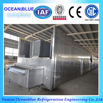 China high efficiency fluidized flow freezer for mushroom