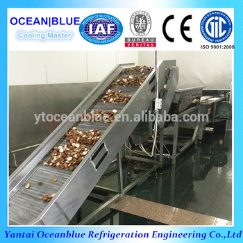 Fluidization individual quickly freezer for mushroom
