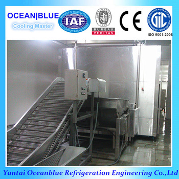 100 food grade SS304 tunnel freezer iqf machine