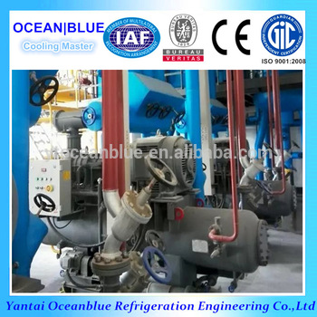 Refrigeration Compressor Bitzer Valves