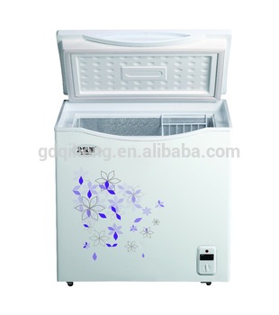BD 108E Class A brandnew foaming door chest freezer