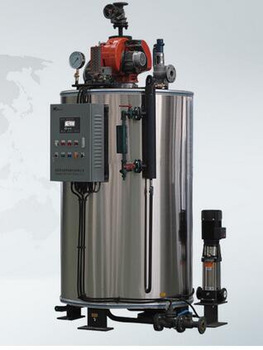 Vertical Gas fired small Steam boielr for laundry washing machine
