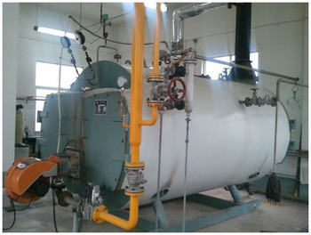 CWNS Hot Sell High Quality Hot Water For Sale Diesel Fired Hot Water Boiler
