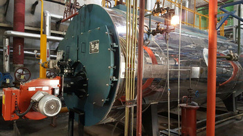 CWNS Hot Sell High Quality Hot Water For Sale Diesel Fired Hot Water Boiler
